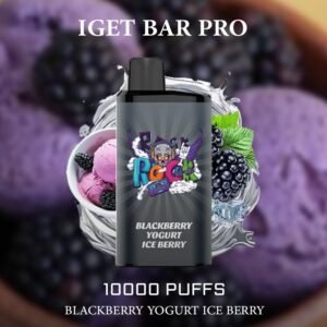 IGET BAR PRO BLACKBERRY YOGURT ICE BERRY – 10000 PUFFS